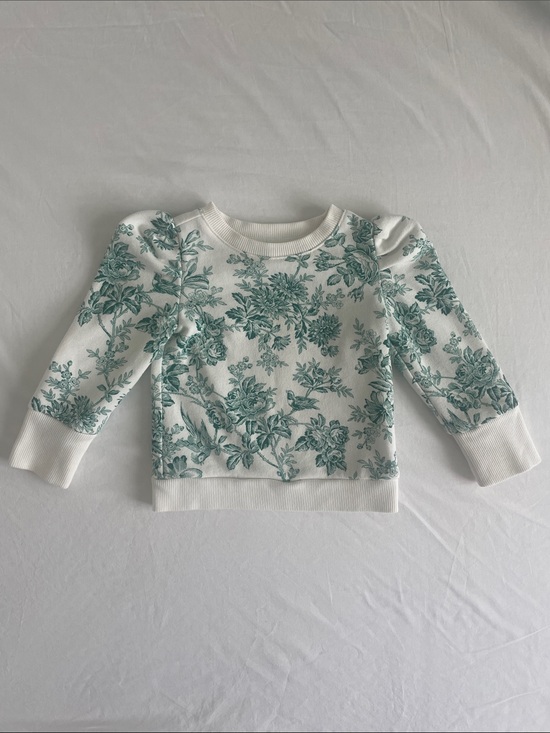 Janie and Jack Other - Janie and Jack White Sweatshirt with Teal Green Nature Print 2T (EUC)